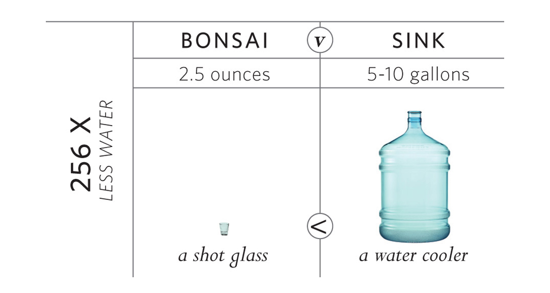Bonsai - Water Saving Shaving Cup